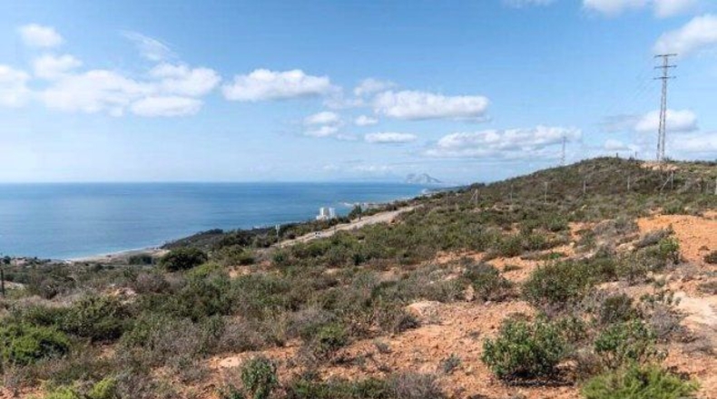 Cádiz - San Roque - 9325m2