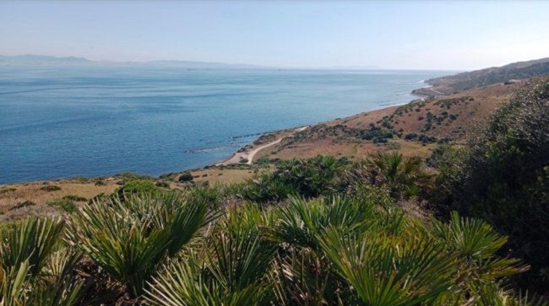 Cádiz - Tarifa - 117489m2