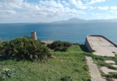 Terreny no urbanitzable en venda a Tarifa ref.: TR382355 foto