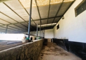 Finca rústica en venta en Jimena de la Frontera ref: TR255574 foto