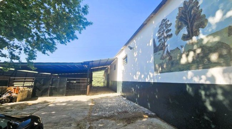 Cádiz - Jimena de la Frontera - 20573m2