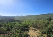 Finca rústica en venta en Jimena de la Frontera ref: TR255574 foto
