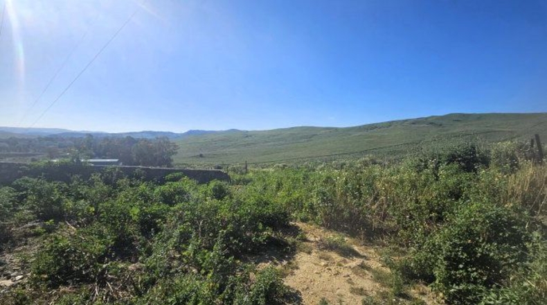 Cádiz - Jimena de la Frontera - 20573m2
