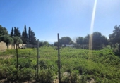 Finca rústica en venta en Jimena de la Frontera ref: TR255574 foto
