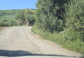 Finca rústica en venta en Jimena de la Frontera ref: TR255574 foto