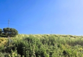 Finca rústica en venta en Jimena de la Frontera ref: TR255574 foto