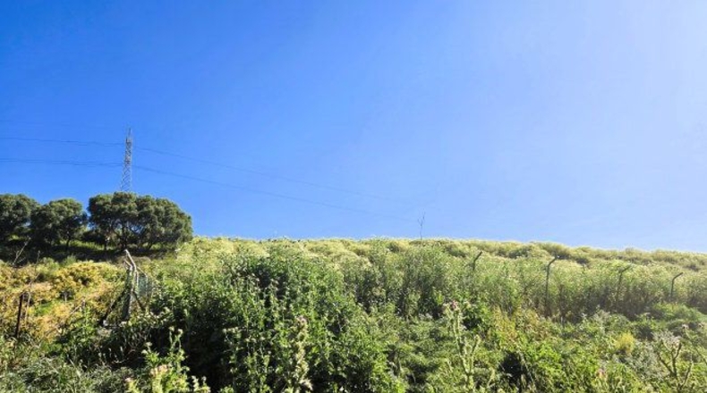 Cádiz - Jimena de la Frontera - 20573m2