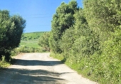 Finca rústica en venta en Jimena de la Frontera ref: TR255574 foto