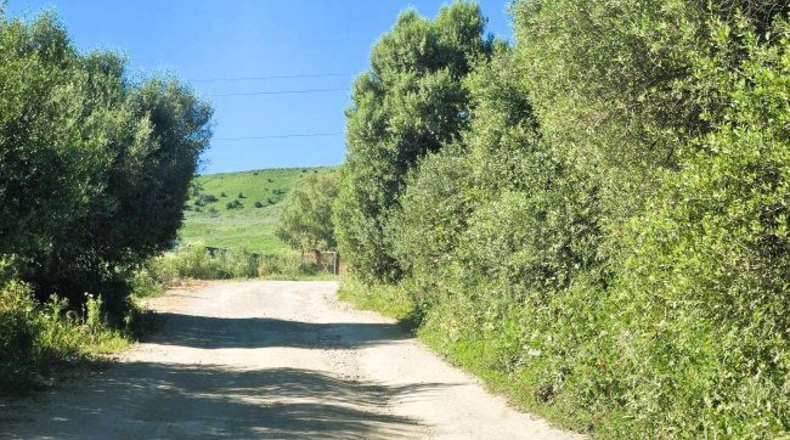Cádiz - Jimena de la Frontera - 20573m2