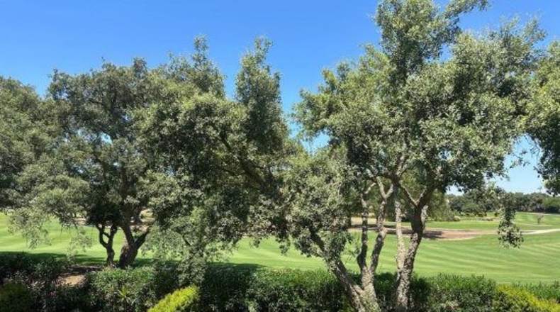 Cadiz - San Roque - 202m2