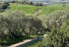 Gaucín 34000&nbsp;m²