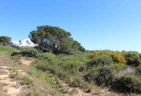 San Roque 2329&nbsp;m² 
