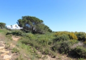 Vil·la amb terreny en venda a San Roque ref.: TR377085 foto