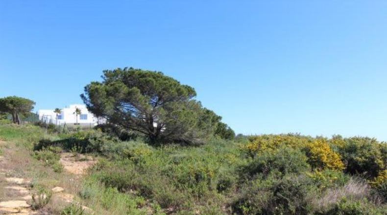 Cádiz - San Roque - 2329m2