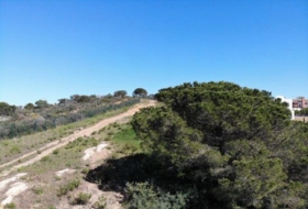 San Roque 2329&nbsp;m² 
