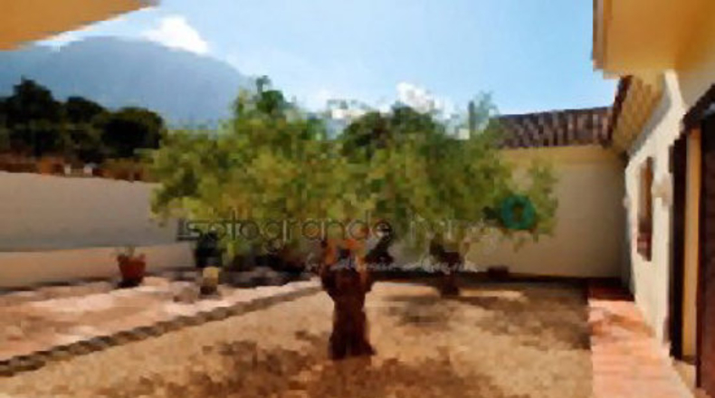 Málaga - Casares - 27000m2