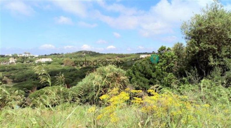 Cádiz - San Roque - 3735m2