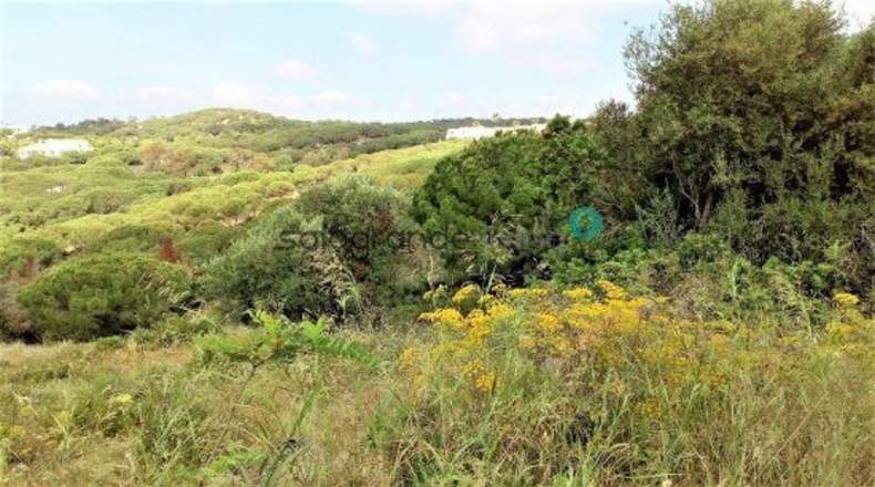 Cádiz - San Roque - 3735m2