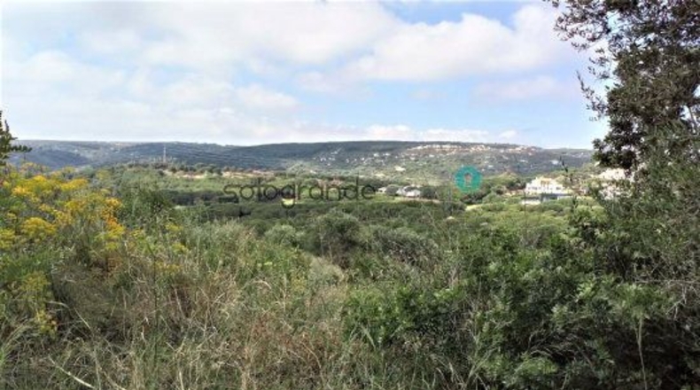 Cádiz - San Roque - 3640m2