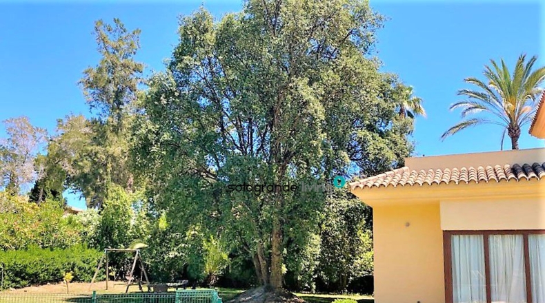 Cádiz - San Roque - 2000m2