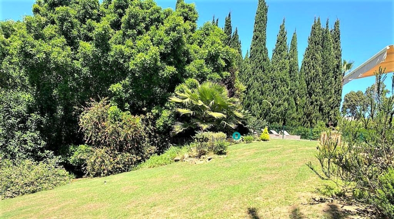 Cádiz - San Roque - 2000m2