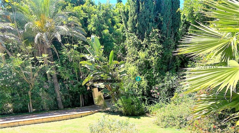 Cádiz - San Roque - 2000m2