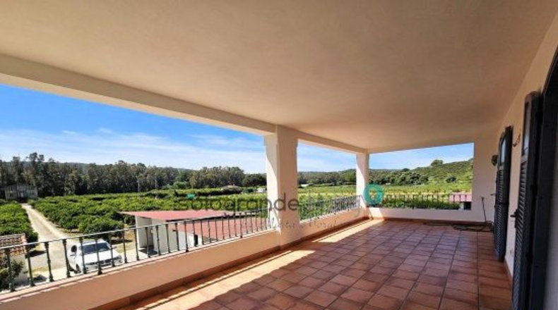Cádiz - San Martín del Tesorillo - 12600m2