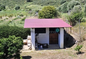 Foto 19