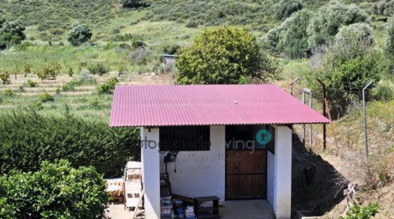 Cádiz - San Martín del Tesorillo - 12600m2