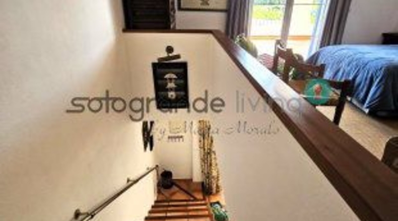 Cádiz - San Martín del Tesorillo - 12600m2