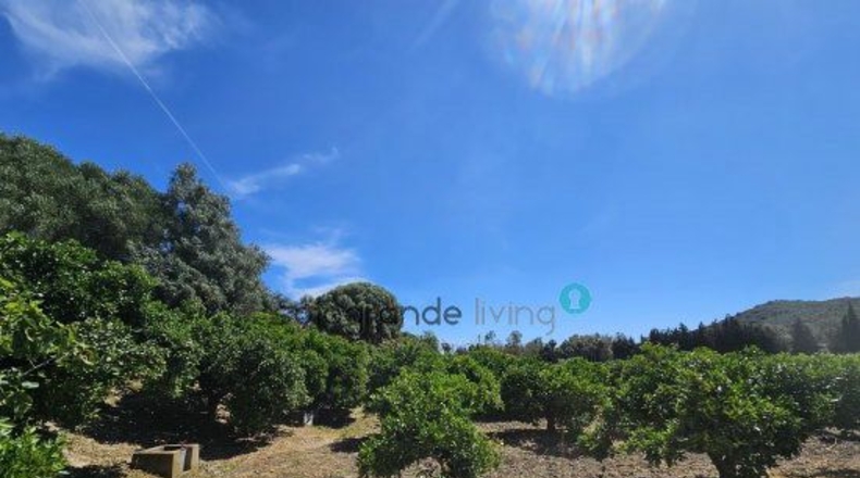 Cádiz - San Martín del Tesorillo - 12600m2
