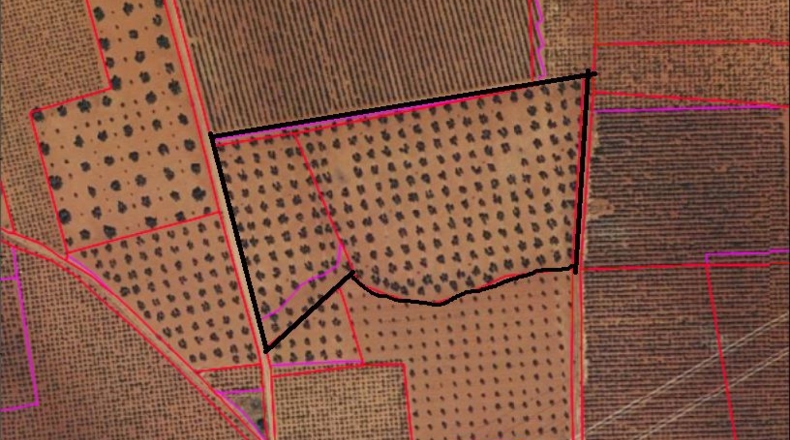 Ciudad Real - Valdepeñas - 16400m2
