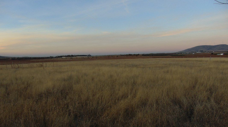 Ciudad Real - Valdepeñas - 25000m2
