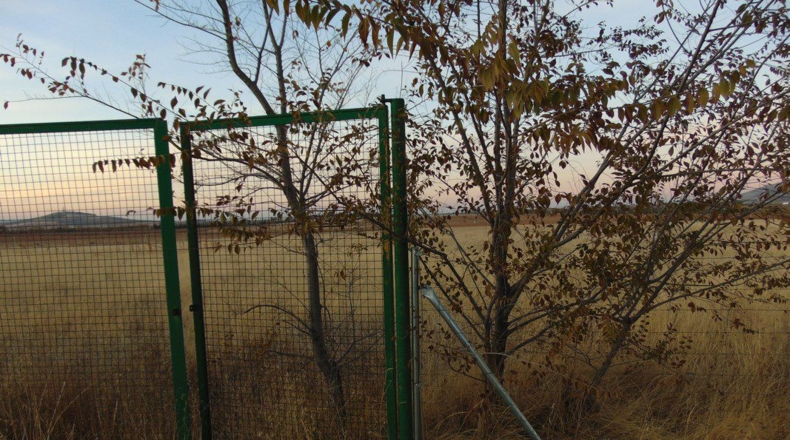 Ciudad Real - Valdepeñas - 25000m2