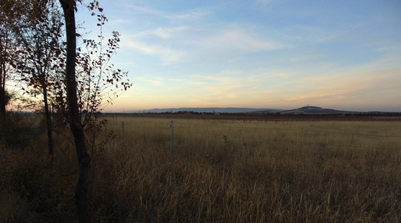 Ciudad Real - Valdepeñas - 25000m2