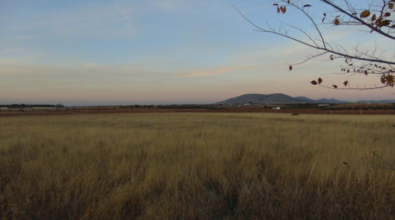 Ciudad Real - Valdepeñas - 25000m2