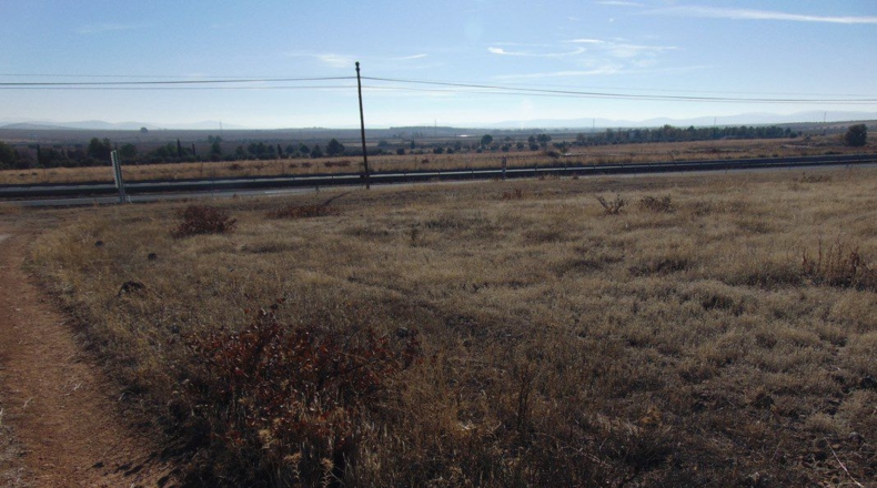 Ciudad Real - Valdepeñas - 34800m2