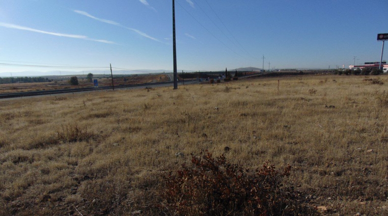 Ciudad Real - Valdepeñas - 34800m2