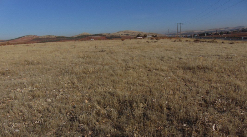Ciudad Real - Valdepeñas - 34800m2