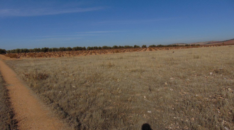 Ciudad Real - Valdepeñas - 34800m2