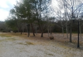 Chalet adosado con terreno en venta en Almuradiel ref: TR278066 foto