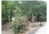 Chalet adosado con terreno en venta en Almuradiel ref: TR278066 foto