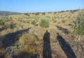 Non-developable land for sale in Aldeaquemada ref: TR53654 photo