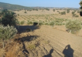 Non-developable land for sale in Aldeaquemada ref: TR53654 photo