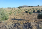 Non-developable land for sale in Aldeaquemada ref: TR53654 photo