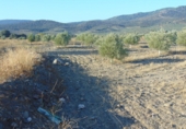 Non-developable land for sale in Aldeaquemada ref: TR53654 photo