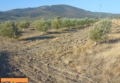 Non-developable land for sale in Aldeaquemada ref: TR53654 photo