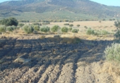 Non-developable land for sale in Aldeaquemada ref: TR53654 photo