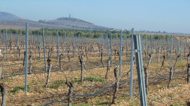 Ciudad Real - Valdepeñas - 253696m2