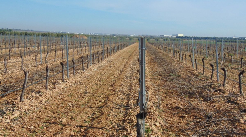 Ciudad Real - Valdepeñas - 253696m2